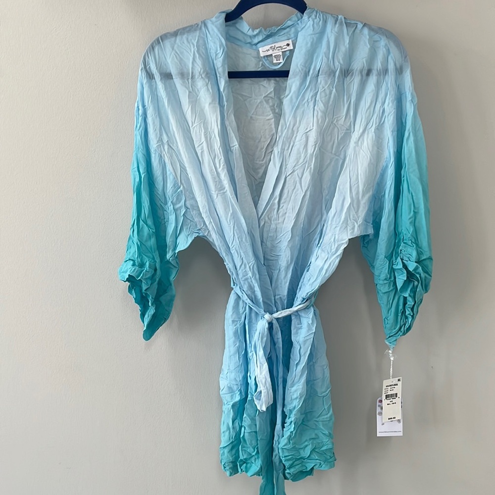 Blue ombré robe